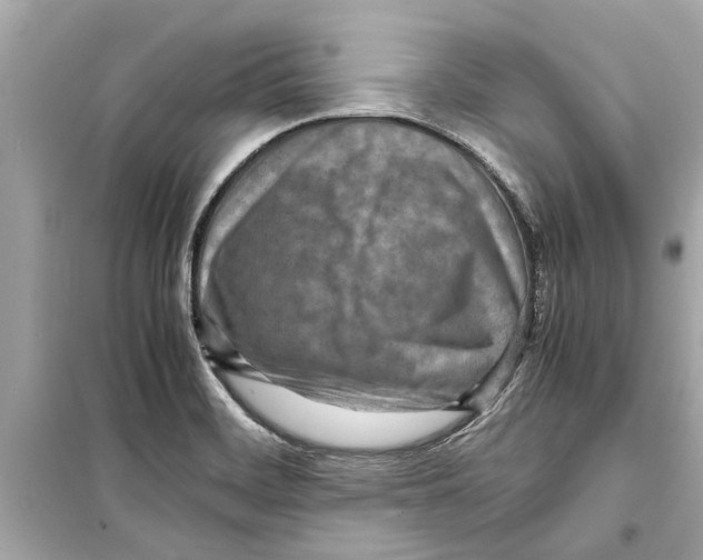 X0000098221468200805221638