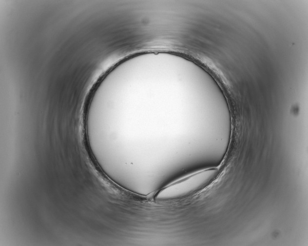 X0000098221469200805221638