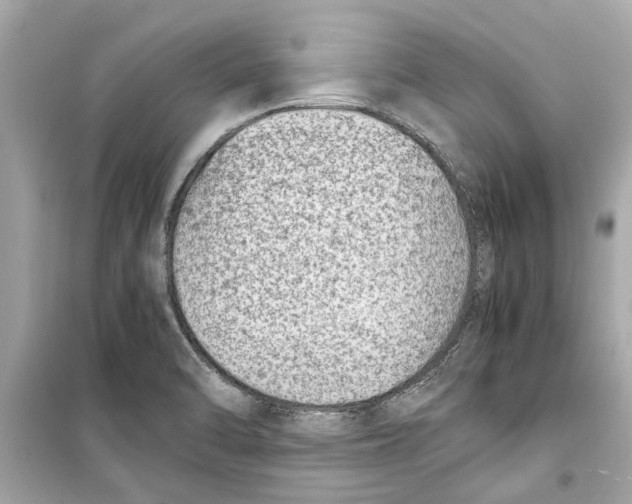 X0000098221470200805221638