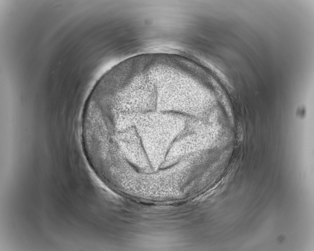 X0000098221471200805221638