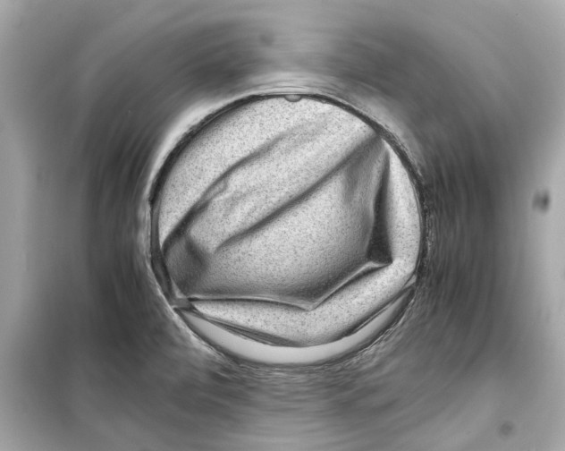 X0000098221472200805221638