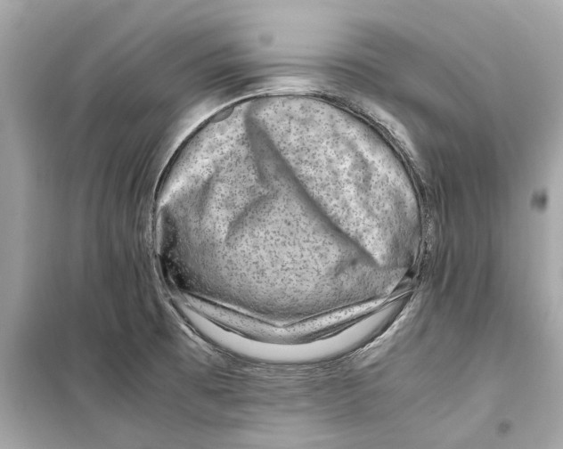 X0000098221473200805221638