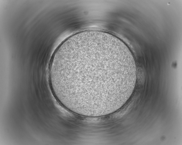 X0000098221474200805221638