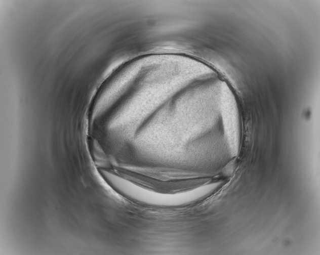 X0000098221476200805221638