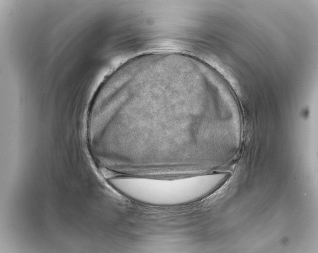 X0000098221477200805221638