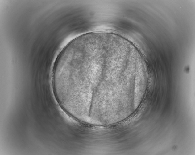 X0000098221478200805221638