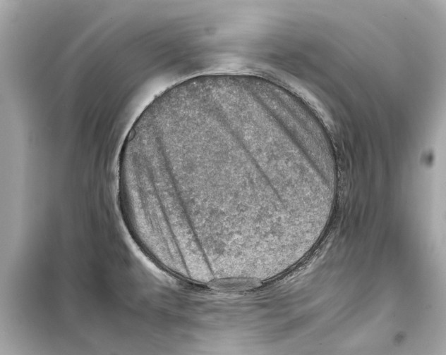 X0000098221479200805221638