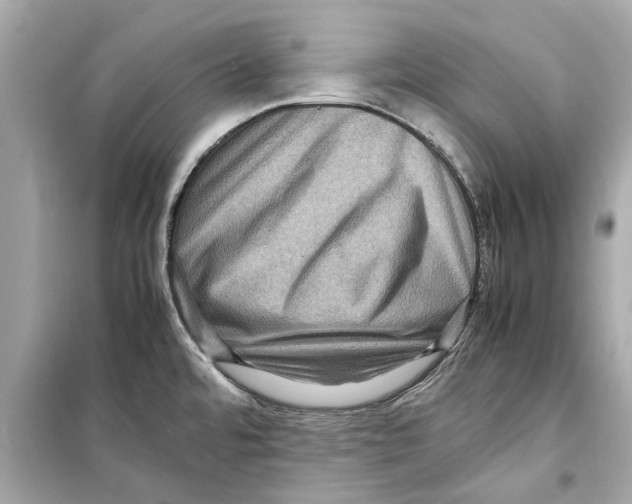 X0000098221480200805221638