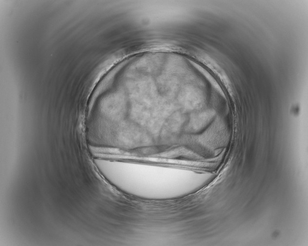 X0000098221481200805221638