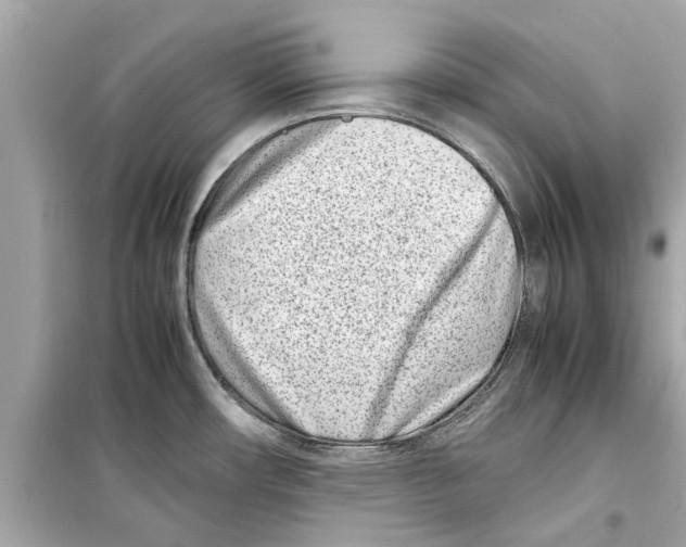 X0000098221482200805221638