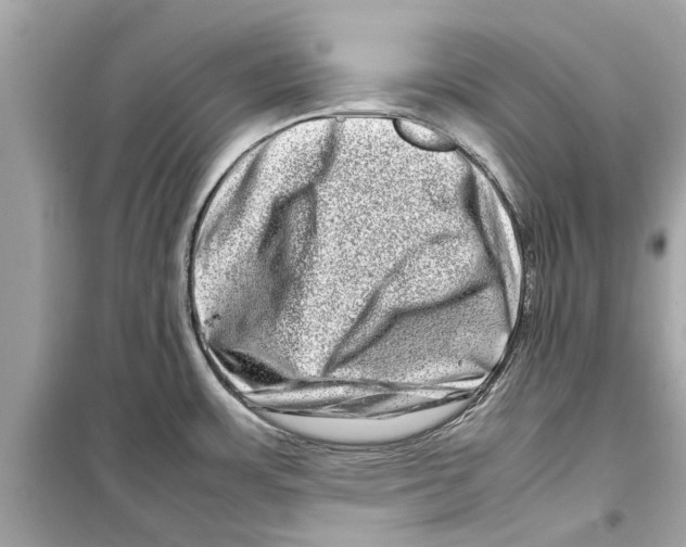 X0000098221483200805221638