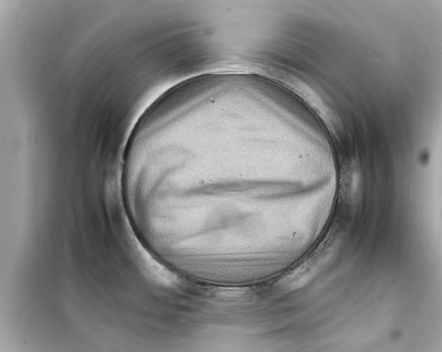 X0000098221484200805221638