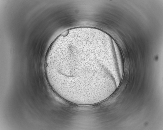 X0000098221486200805221638