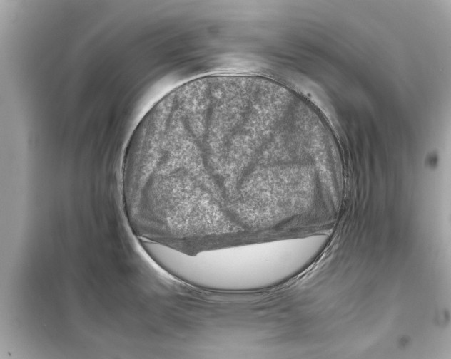 X0000098221487200805221638