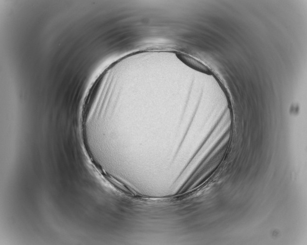 X0000098221488200805221638