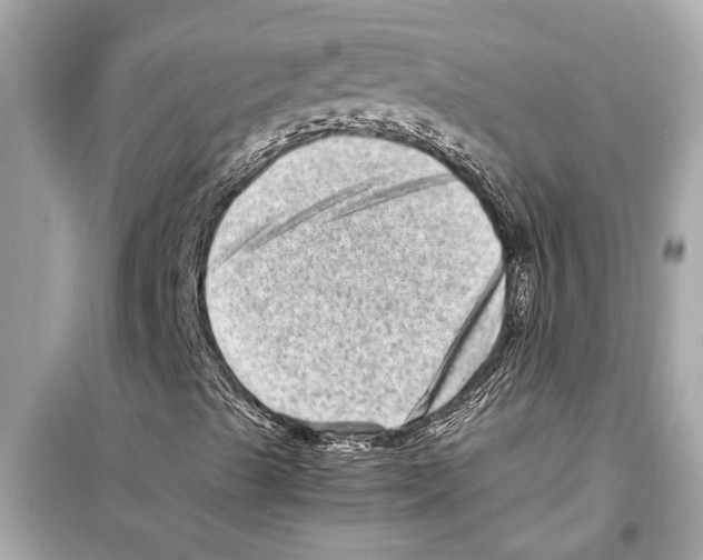 X0000098221489200805221637