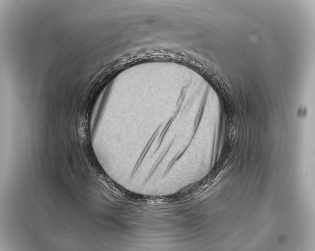 X0000098221490200805221637