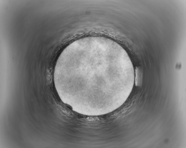 X0000098221491200805221637