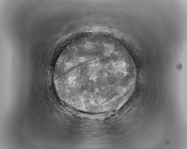 X0000098221493200805221637