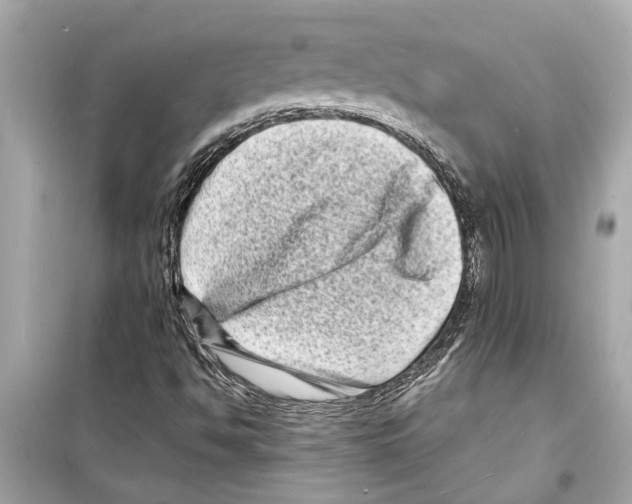 X0000098221494200805221637