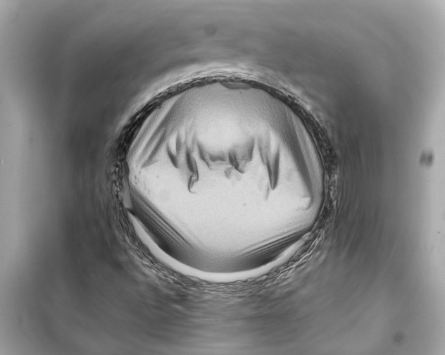 X0000098221496200805221637