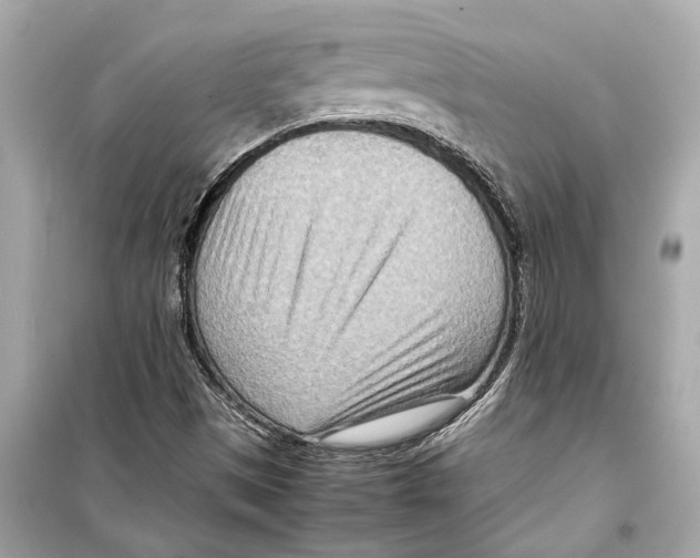 X0000098221497200805221637