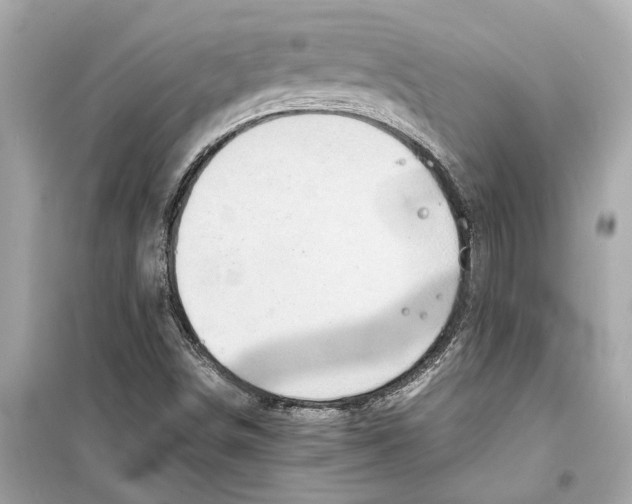 X0000098221498200805221637