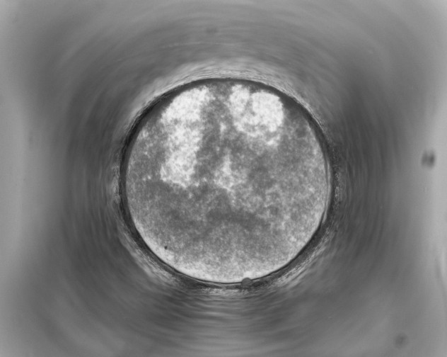 X0000098221499200805221637