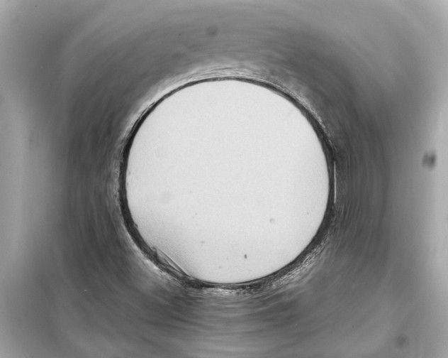 X0000098221500200805221637