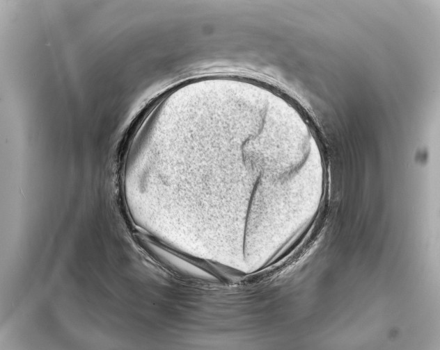 X0000098221501200805221637