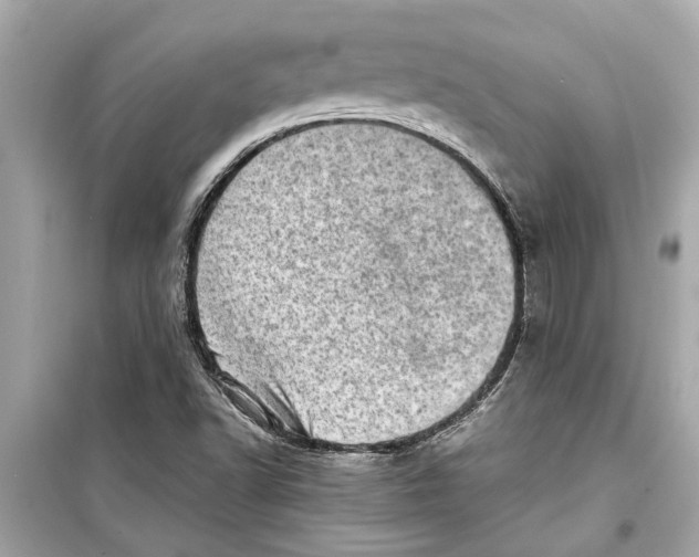 X0000098221502200805221637