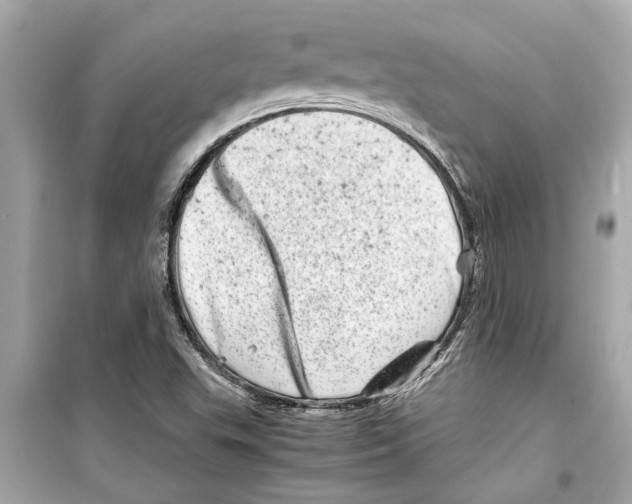 X0000098221503200805221637