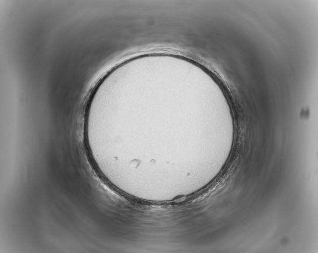 X0000098221504200805221637