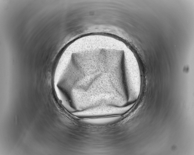 X0000098221505200805221637