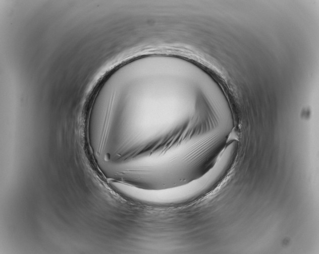 X0000098221506200805221637