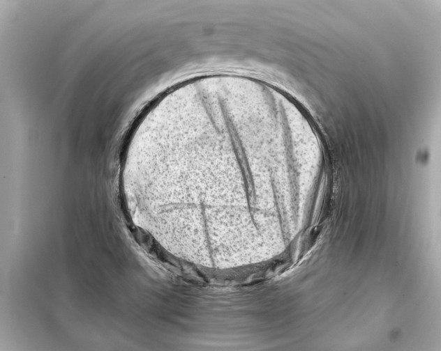 X0000098221507200805221637