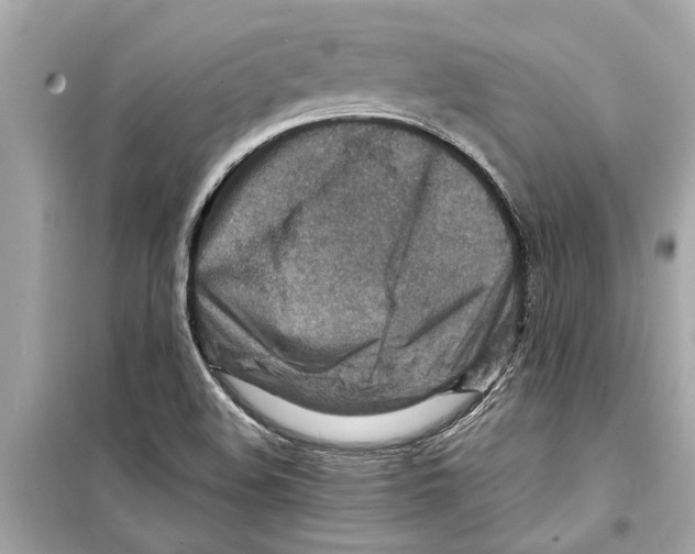 X0000098221508200805221637