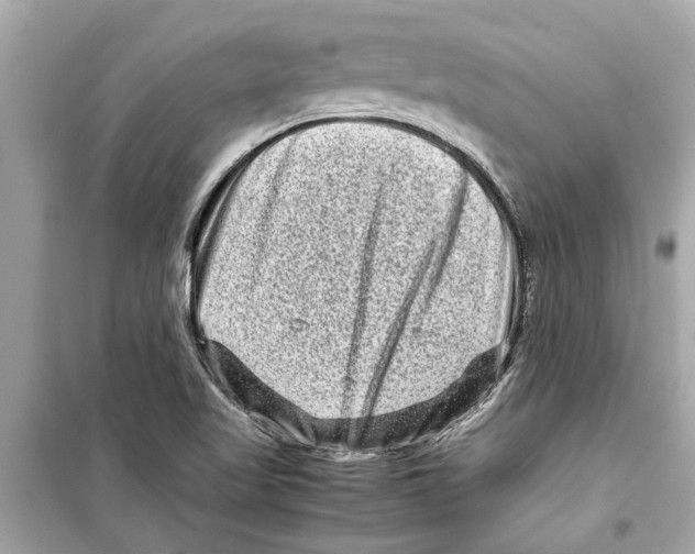 X0000098221509200805221637