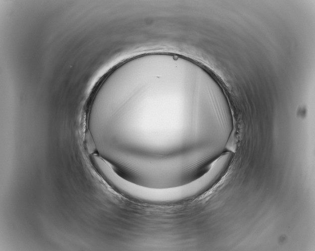 X0000098221510200805221637