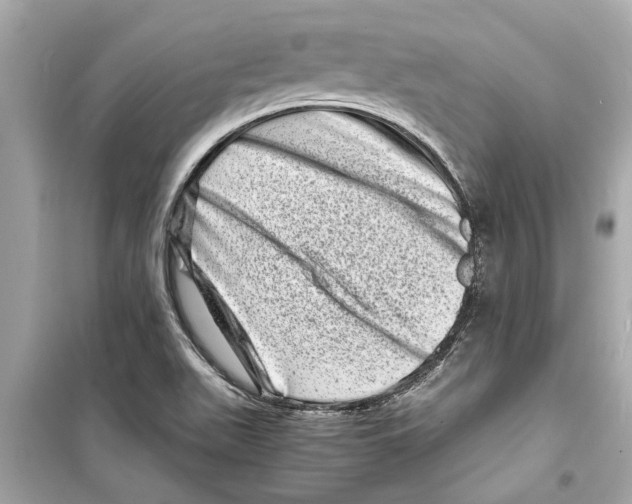 X0000098221511200805221637