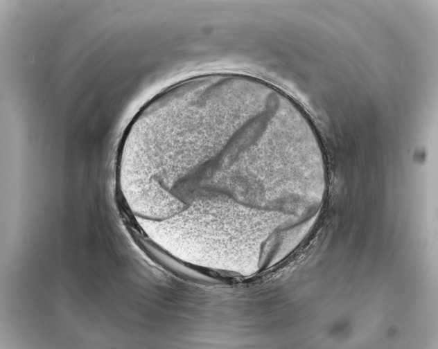 X0000098221512200805221637