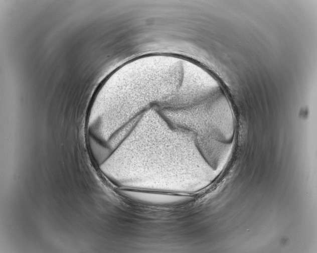 X0000098221513200805221637