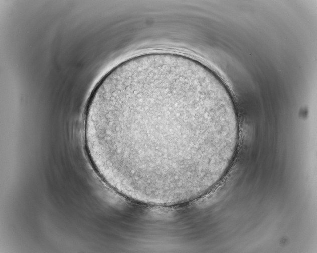 X0000098221514200805221637