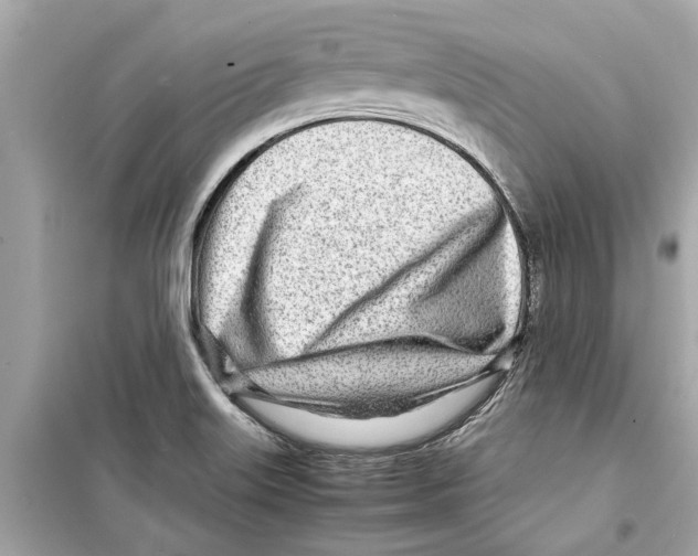 X0000098221515200805221637