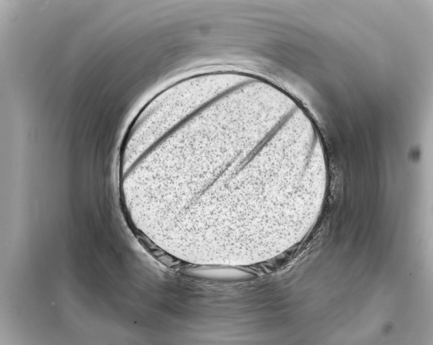 X0000098221516200805221637