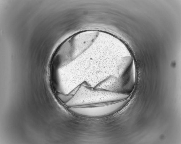 X0000098221517200805221637