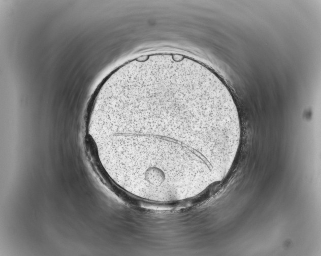 X0000098221518200805221637