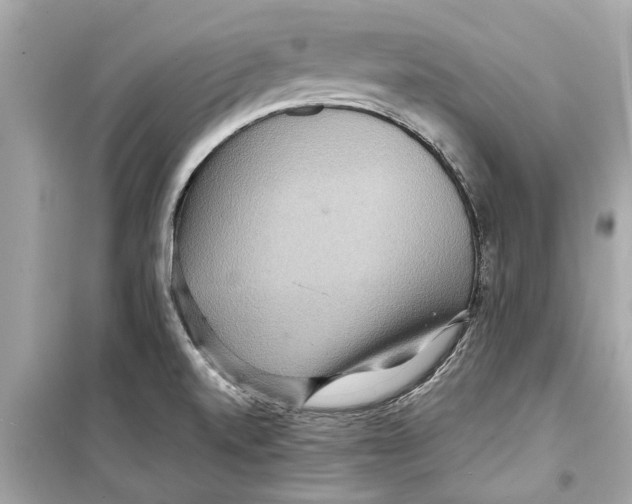 X0000098221520200805221637