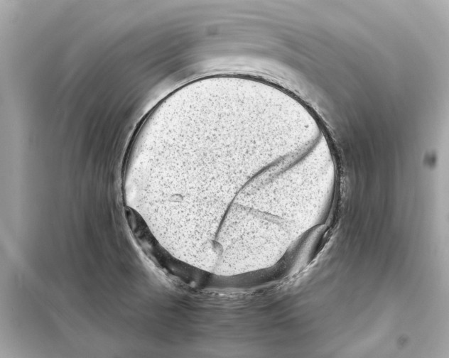 X0000098221521200805221637