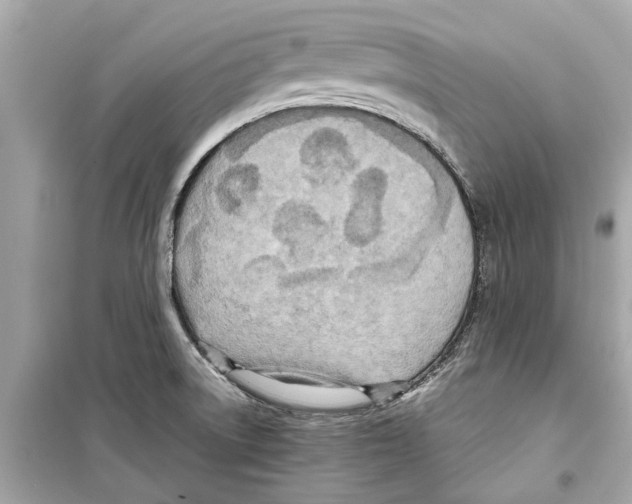 X0000098221522200805221637